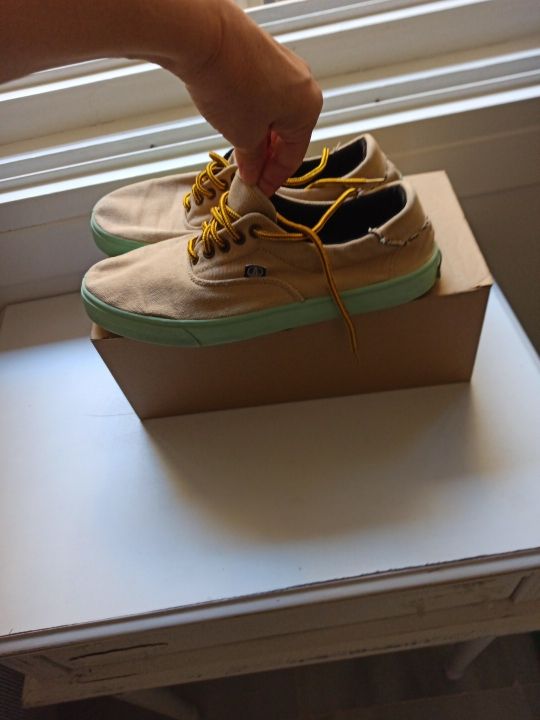 Zapatillas Flamingo y regalo funda Iphone