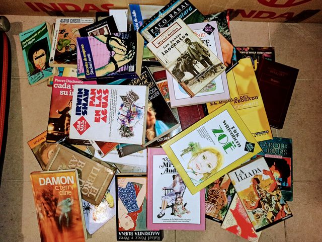 Lote de libros variados