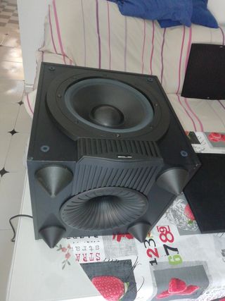 solid solutions pb100 subwoofer