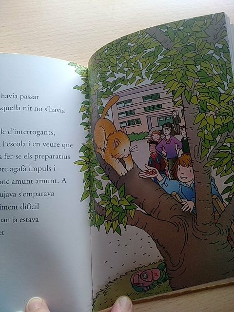 Marina ja no té por