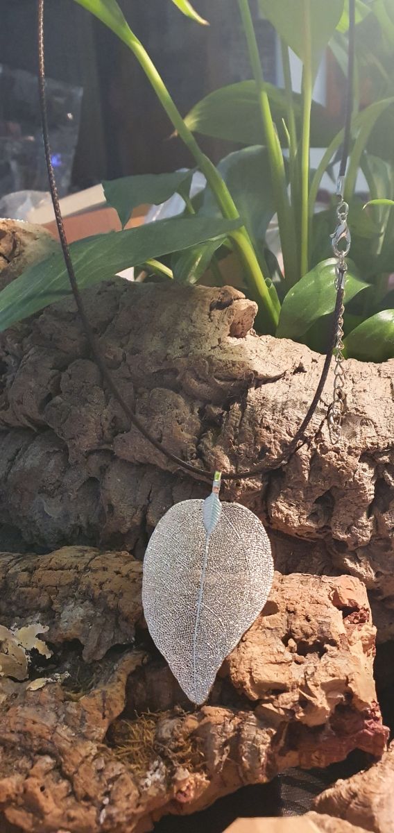 Colgante y pendientes de hojas Naturales