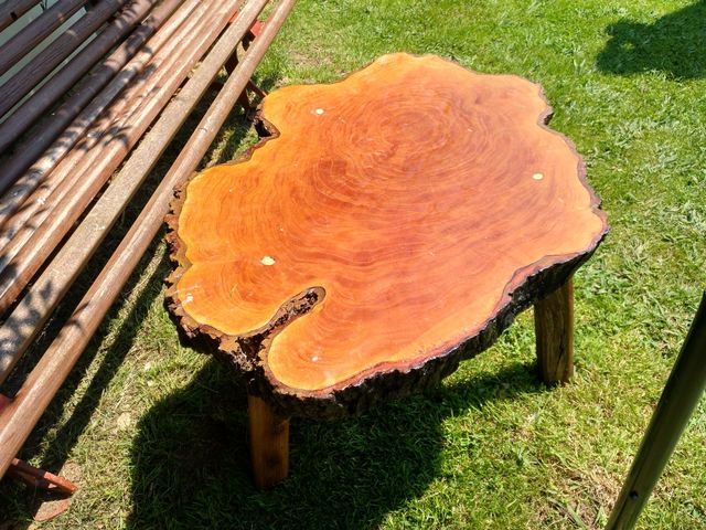 Mesa con rodaja de madera