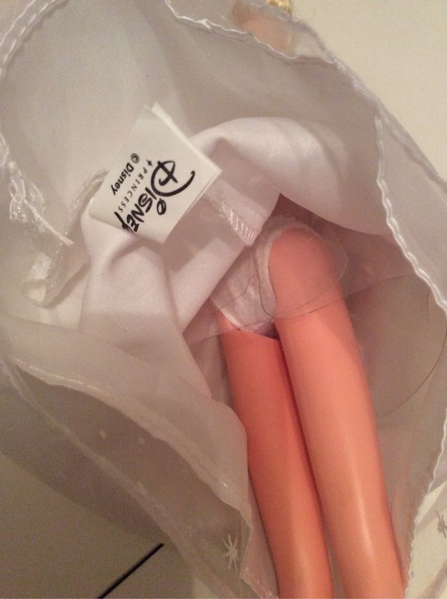 Casamento Cinderela Disney Simba