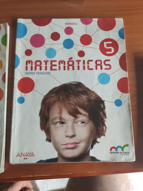 libros matemáticas 5 primaria 