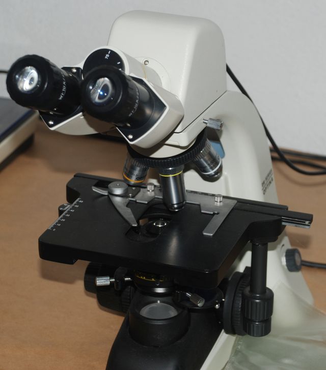 Microscopio binocular Optika (con cámara)