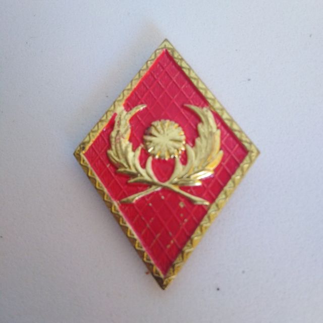 Insignia militar del Cerro murciano.