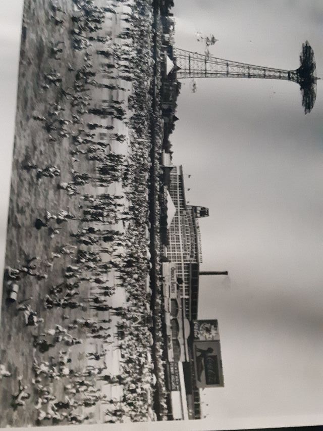 TODOS  LOS 3 CARTELES GRANDES