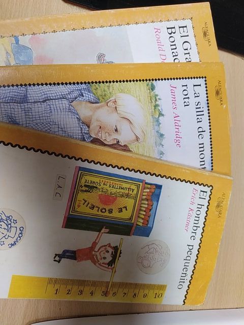 Lote libros juvenil Alfaguara