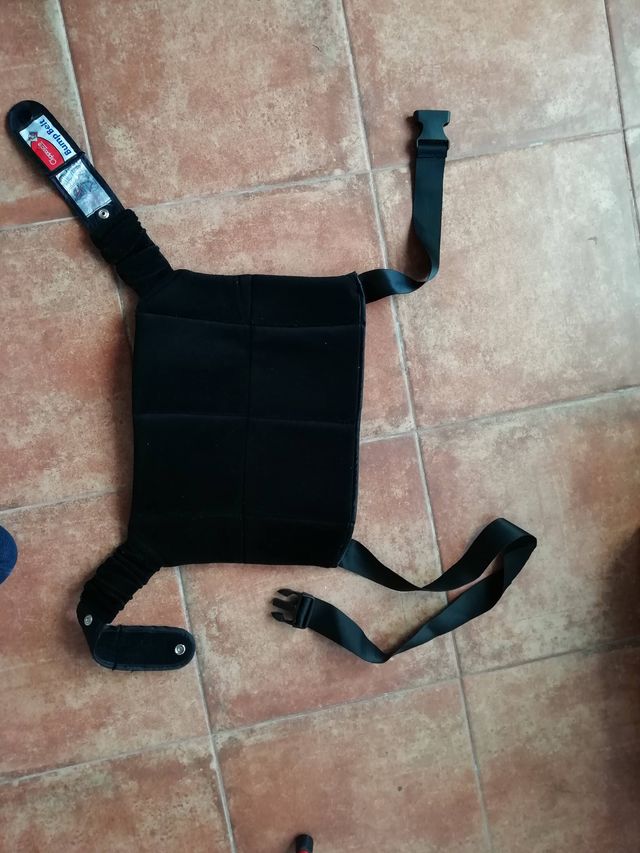 Cinturón embarazada coche