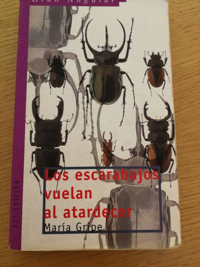 Los escarabajos vuelan al atardecer