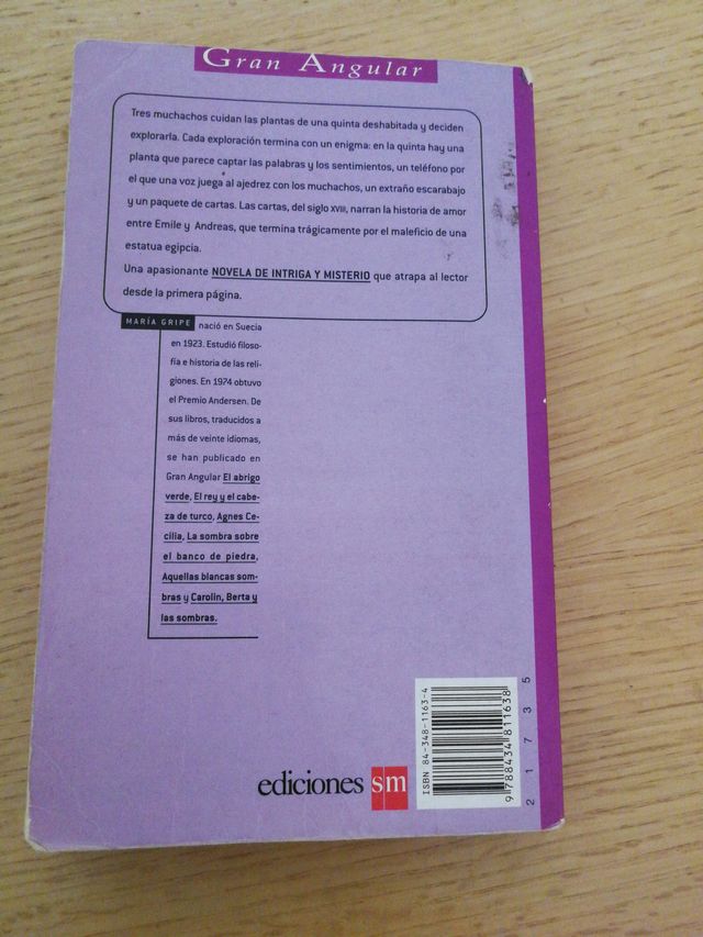 Los escarabajos vuelan al atardecer