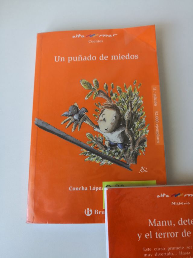 Un puñado de miedos de Concha López Narvaez