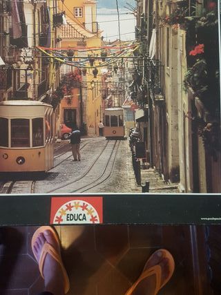 Puzzle Educa 1500 PALAIS DES FLEURS