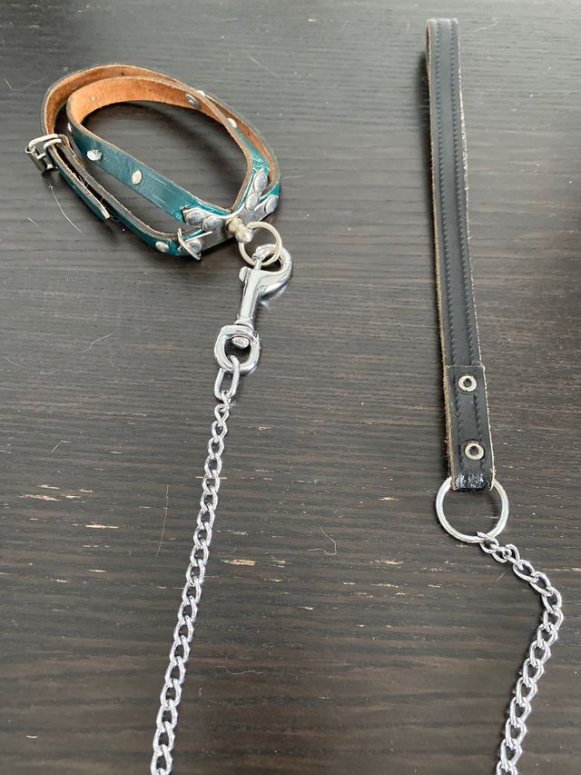 Correa piel para gato