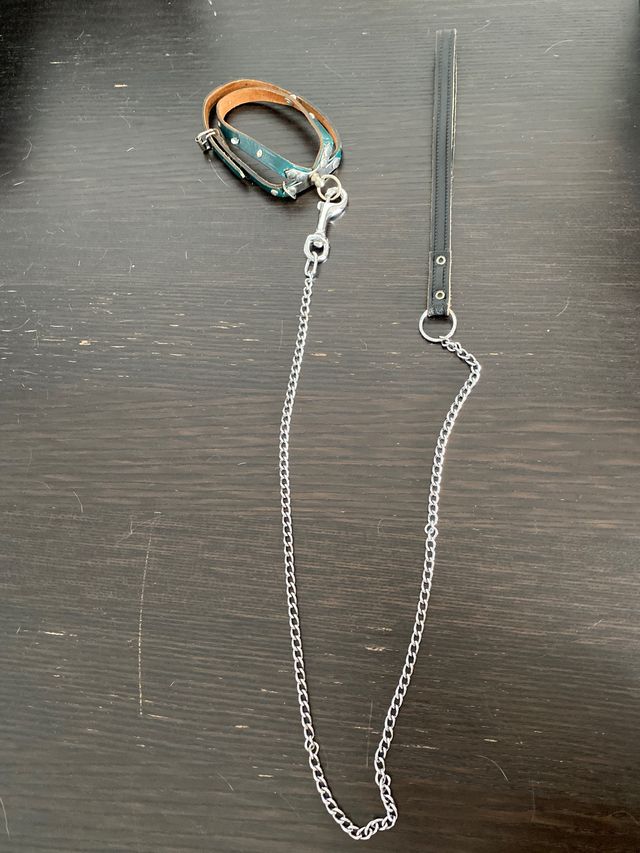 Correa piel para gato