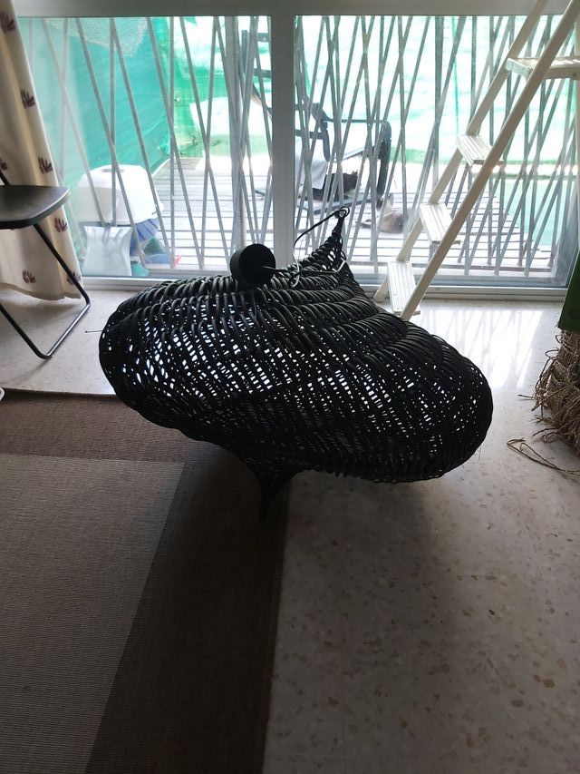 Lampara techo natural.