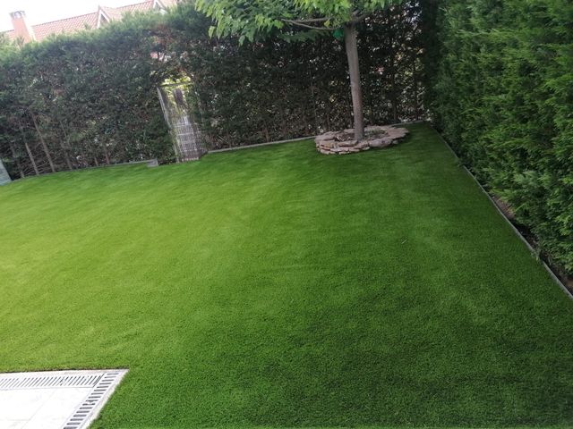 Jardineros Económicos