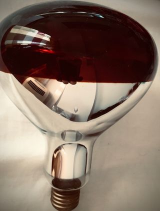 Bombilla de segunda mano en Jerez de la Frontera en WALLAPOP Bombilla Bajo Consumo de segunda mano en Jerez de la