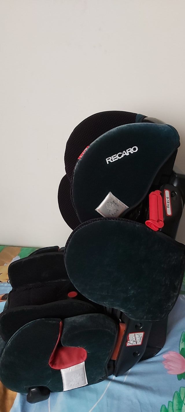 silla  recaro young sport