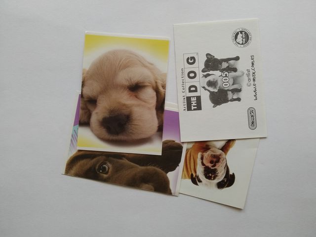 PEGATINAS, STICKERS, CROMOS, LIGA