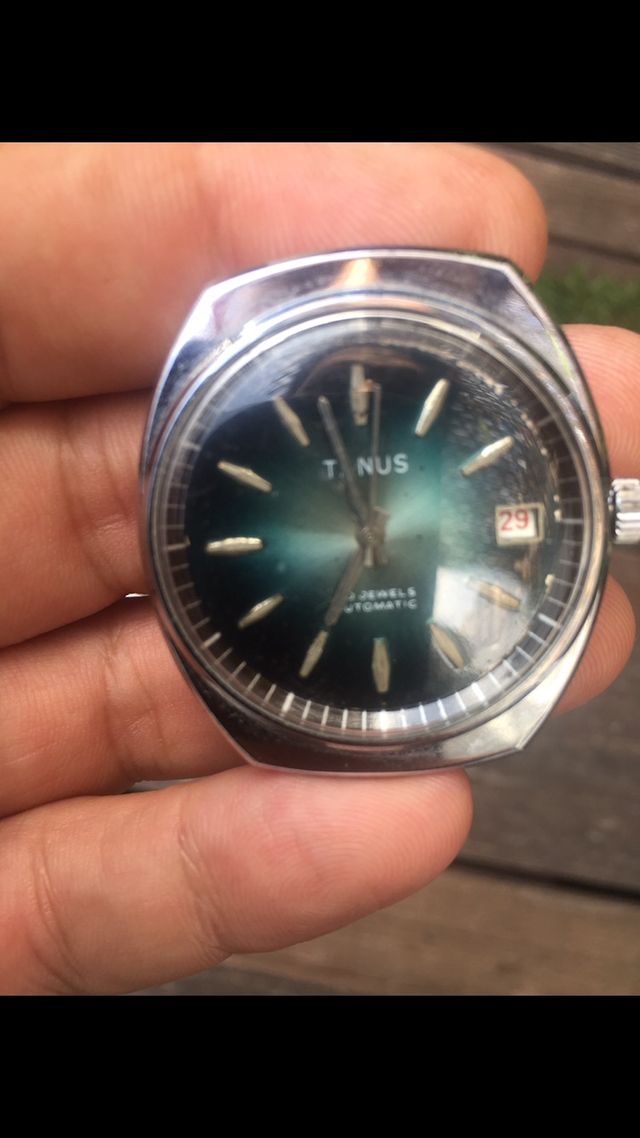 Relojes Tanus automáticos a estrenar