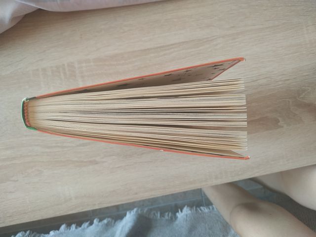 Libro Tina Superbruixa i els dinosaures