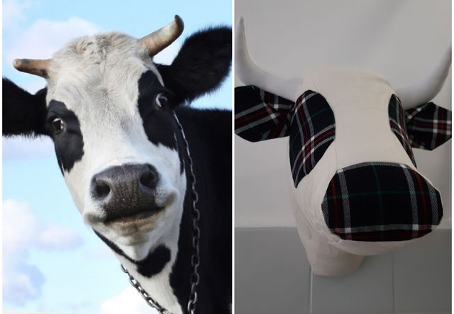 Cabeza de vaca de tela de DeSandra