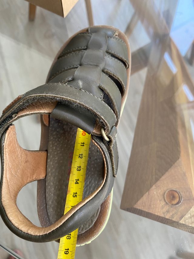 Camper bicho 29 verdes