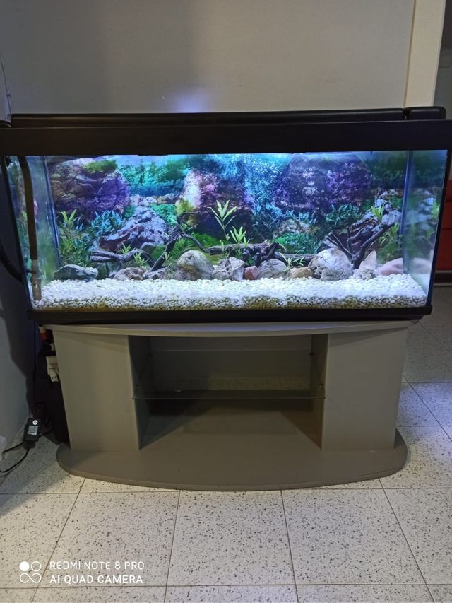 ESPECTACULAR ACUARIO 240 Litros