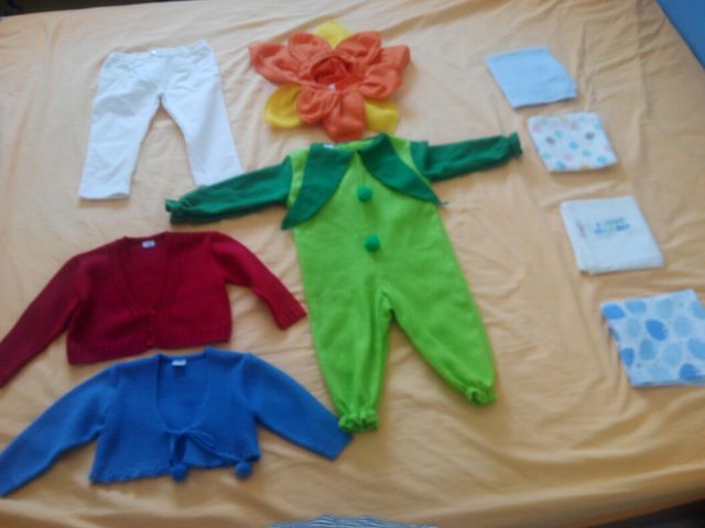 Disfraz de flor y ropa de bebe