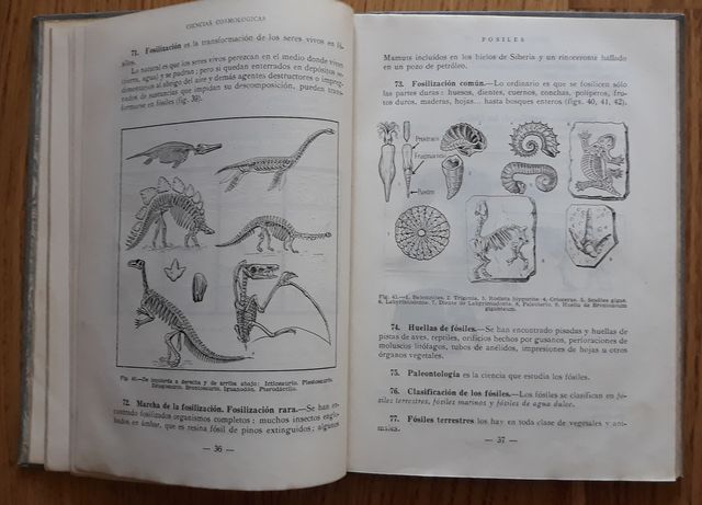 Antigua enciclopedia años 40