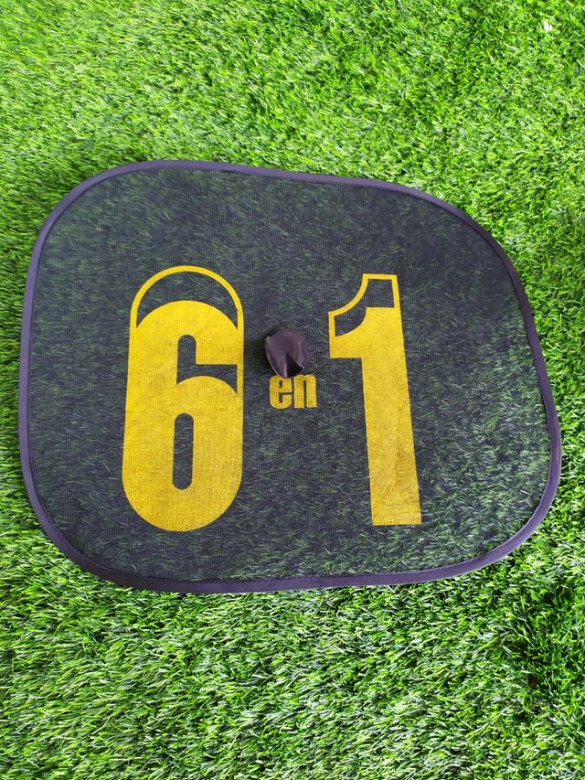 Parasol de coche universal