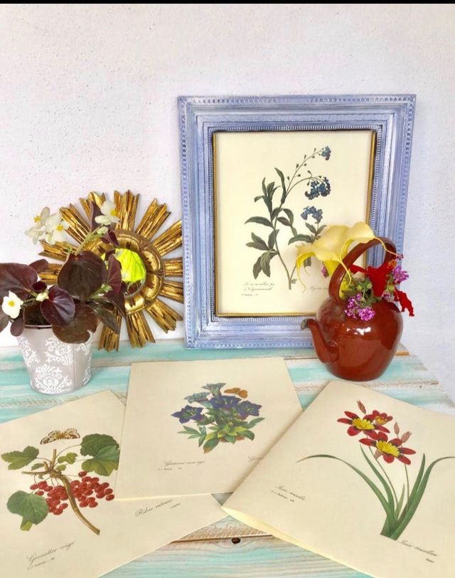 Stampe botaniche vintage