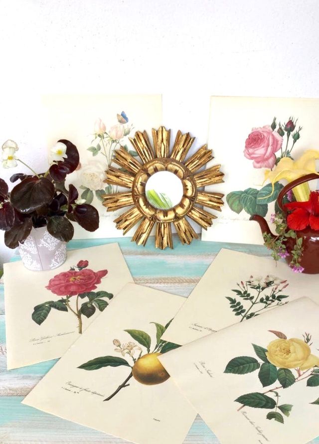 Stampe botaniche vintage