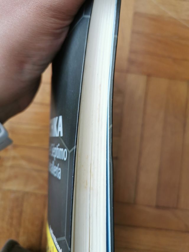 Los fieras del fútbol