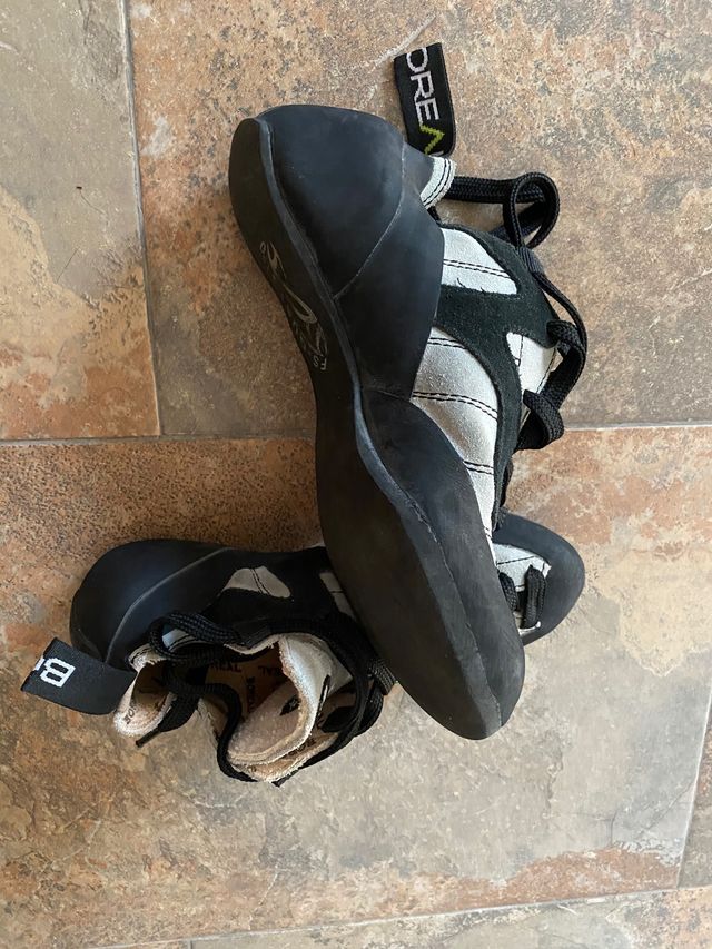 Pies de gato Boreal As