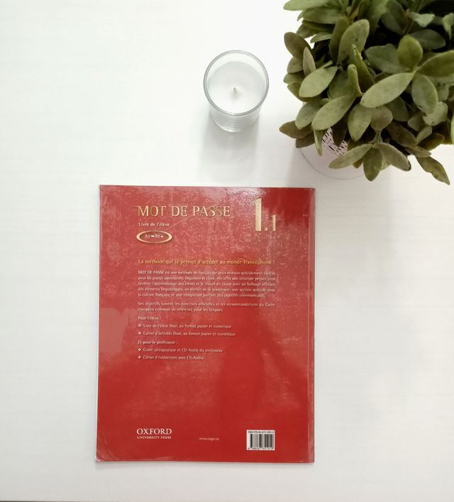 LIBRO DE FRANCÉS 1.1 : 1° DE BACHILLERATO