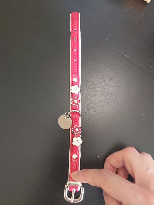 collar perro pequeño marca nayeco