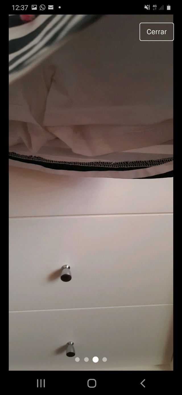 faldita sport Tenth woman