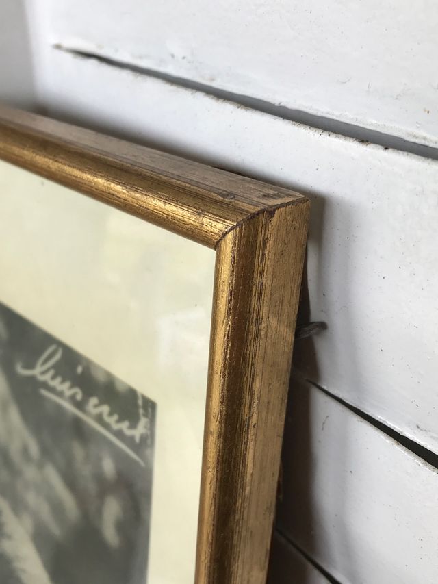 Fotografía S.S.M.M reyes de España