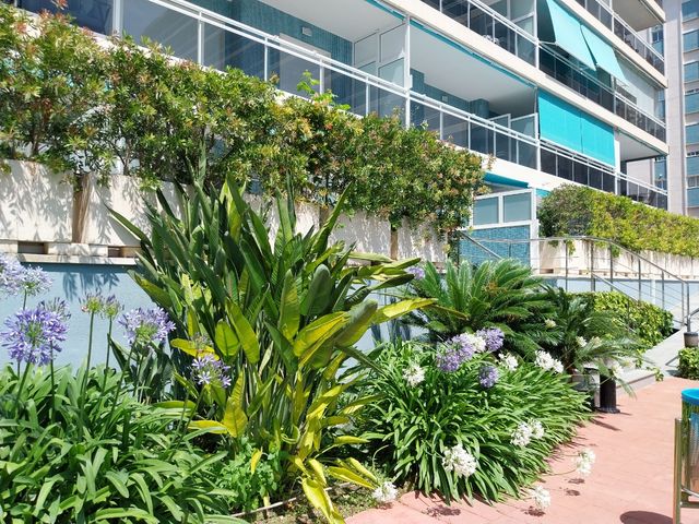 FANTASTICO APARTAMENTO CON PISCINA