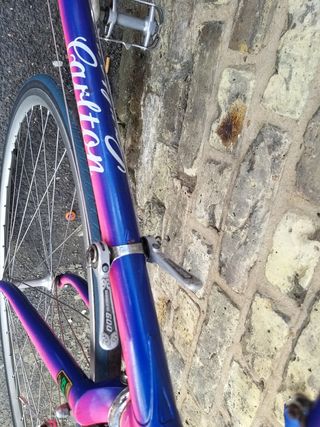 carlton carrera bike