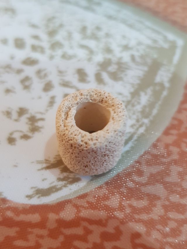 canutillo cerámico sera acuarios