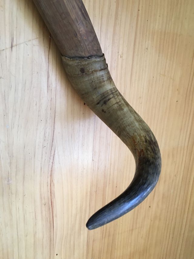 Cuernos escuela de tauromaquia