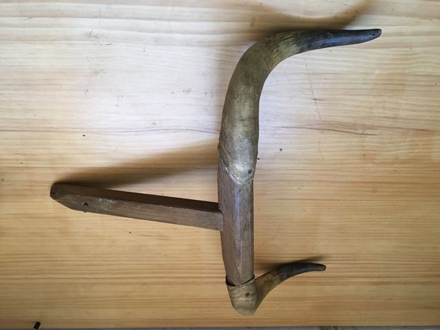 Cuernos escuela de tauromaquia