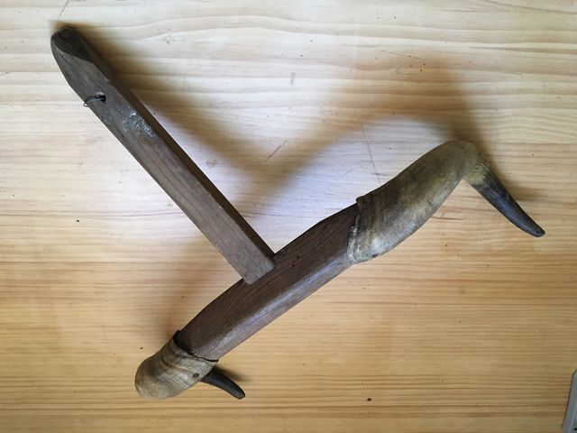 Cuernos escuela de tauromaquia