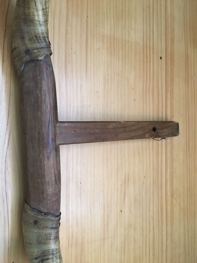 Cuernos escuela de tauromaquia