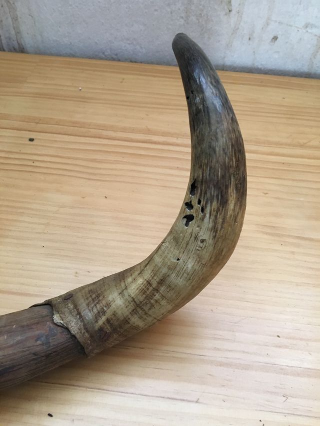 Cuernos escuela de tauromaquia