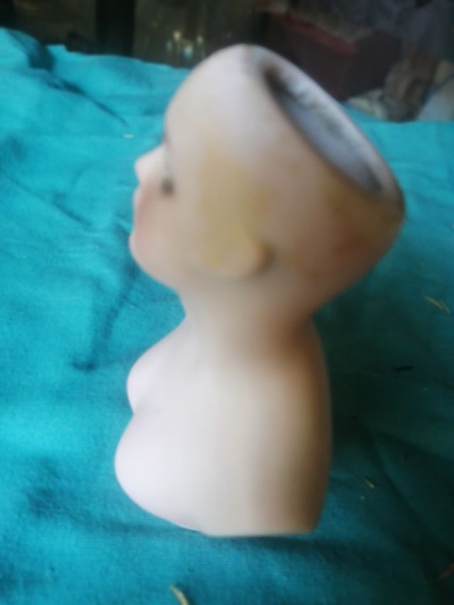 Busto muñeca