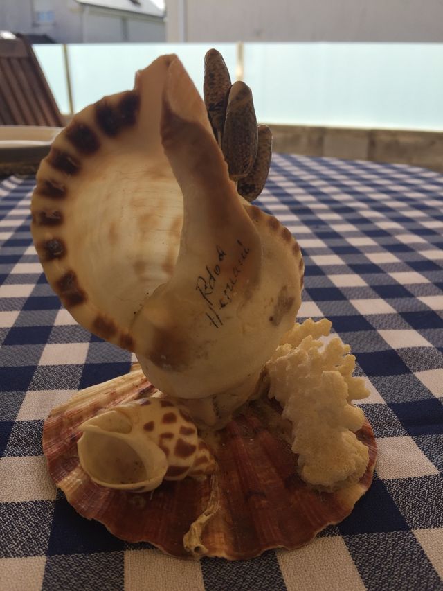 Juego de 6 pinchos metálicos